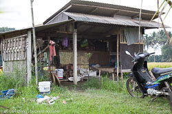 Alor Alor