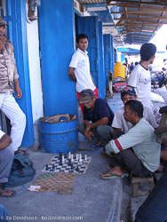 Sulawesi Sulawesi
