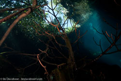 Yucatan Yucatan