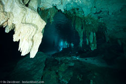 BD-101209-Cenotes-2948-Cavern.jpg