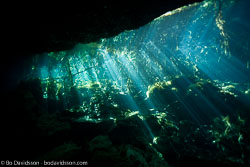 BD-101210-Cenotes-2992-Cavern.jpg