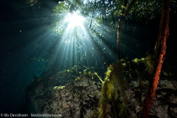 BD-101210-Cenotes-3003-Cavern.jpg