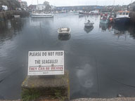 Cornwall 2023