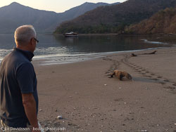 BD-141012-Komodo-0587-Travel---Diving.jpg