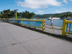 BD-180206-Romblon-1000497-Travel---Diving.jpg
