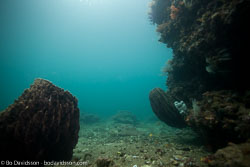 BD-111125-Raja-Ampat-5275-Landscape.jpg