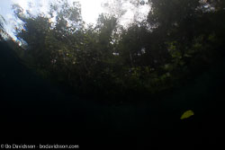 BD-111125-Raja-Ampat-5276-Landscape.jpg