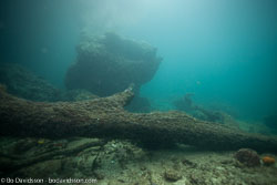 BD-111125-Raja-Ampat-5279-Landscape.jpg