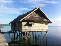 BD-111203-Raja-Ampat-0348-.jpg