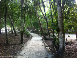 BD-111203-Raja-Ampat-0349-.jpg