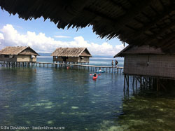 BD-111203-Raja-Ampat-0364-.jpg
