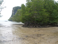 BD-070411-Ao-Nang-4111114-.jpg