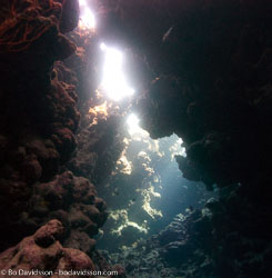 BD-090408-Fury-Shoal-4083029-Cavern.jpg