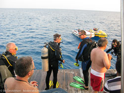 SP-100920-Fury-Shoal-036-Divetour.jpg