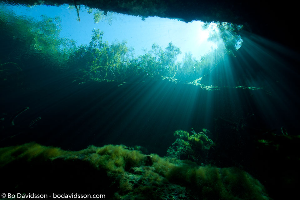 BD-101210-Cenotes-2974-Cavern.jpg