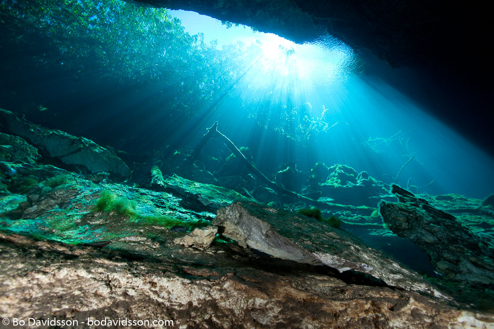 BD-101210-Cenotes-3005-Cavern.jpg
