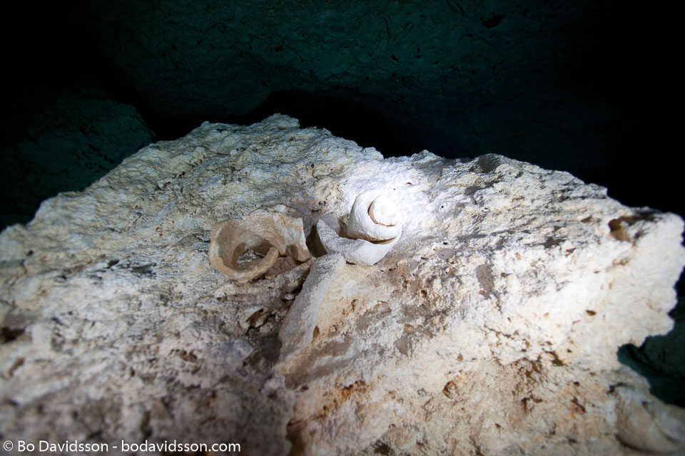 BD-101210-Cenotes-3036-Cavern.jpg