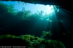 BD-101210-Cenotes-2974-Cavern.jpg